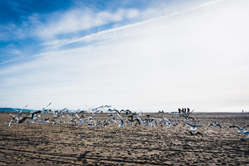 Praia em Los Angeles