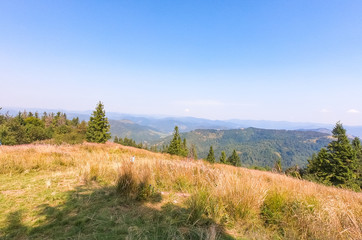 Carpathian Mountains landscape in the autumn season in the sunny day