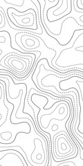 Topographic map. Topographical background. Linear graphics. Vector illustration.