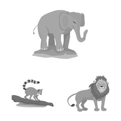 Isolated object of zoo and park icon. Collection of zoo and animal stock vector illustration.