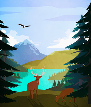 Bald eagle and deer at idyllic, remote lakeside