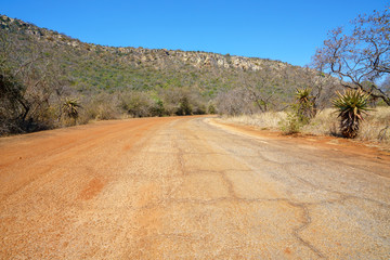 road to lower viewpoint, blyde river canyon, mpumalanga, south africa 2