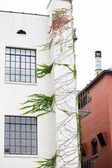 Spanish Style Stucco House