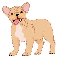 French bulldog. Illustration cartoon French bulldog. Graphics. Bulldog stands on a white background.