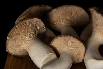 Lot of whole fresh creamy king trumpet mushroom isolated on black glass