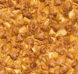 Seamless texture of apple pie, food background
