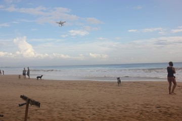 Fototapeta na wymiar Drone flies in the sky, dogs on the beach