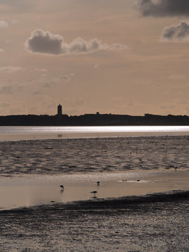 View on a tidal seascape with spoonbill birds.