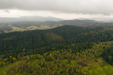 Naklejka premium Aerial drone view of the forest, Deforestation. Ecological disaster. Forest destruction