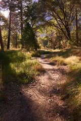 Fototapeta premium Colorful landscape of Yosemite National Park