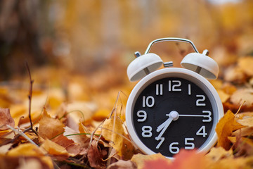 Clock and leaves on wooden table.  Clock alarm in autumn nature forest.  Concept make time for nature. Symbolic still life representing autumn season