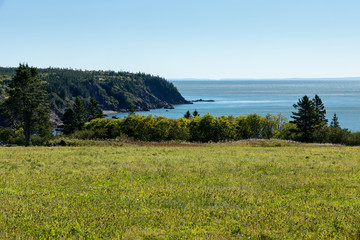 Fototapeta na wymiar Bay of Fundy coastline