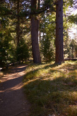 Colorful landscape of Yosemite National Park