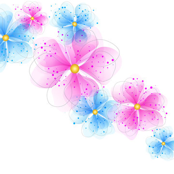 Blue And Pink  Flowers On A White Background
