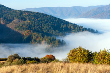 Autumn forest on the mountain slope with fog