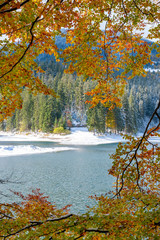 The first snow on a lake in a mountain forest