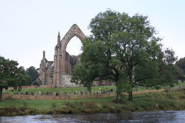 Bolton Abbey 
