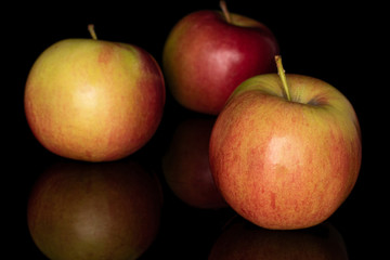 Group of three whole red apple jonagold isolated on black glass