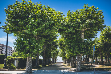 Fototapete bei efototapeten.de bestellen   