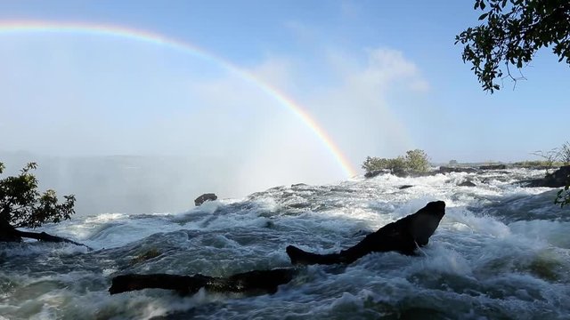 The powerful rapids in the Zambezi River right above Victoria Falls. Shot from the Zambia side of the river.