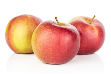 Group of three whole red apple jonagold isolated on white background