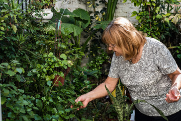 elderly woman enjoying her garden