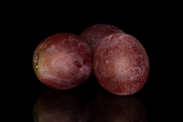 Group of three whole fresh purple grape rose isolated on black glass