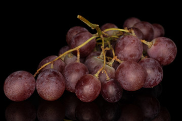 Lot of whole fresh purple grape rose cluster isolated on black glass