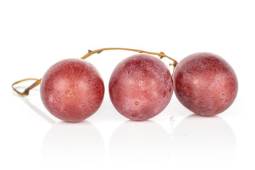 Group of three whole fresh purple grape rose isolated on white background