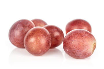 Group of six whole fresh purple grape rose isolated on white background