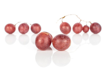 Group of nine whole fresh purple grape rose in row isolated on white background