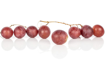 Group of eight whole fresh purple grape rose in row isolated on white background