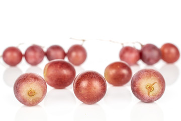 Group of twelve whole fresh purple grape rose in row isolated on white background