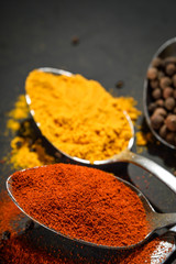 Various spices spoons on stone table.On dark concrete background.Herbs and spices on wooden table.  Top view with space for your text