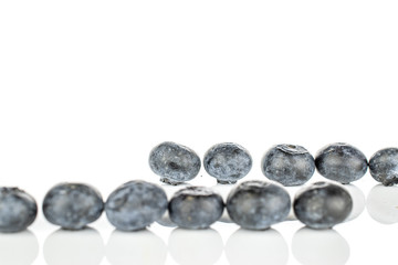 Group of eleven whole fresh blue blueberry isolated on white background