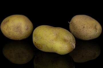 Group of three whole raw brown potato isolated on black glass