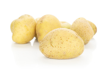 Group of six whole raw brown potato isolated on white background
