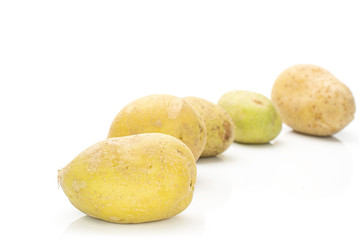 Group of five whole arranged raw brown potato isolated on white background