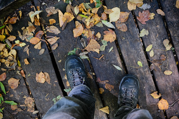 closeup of hiking boots in autumn woods