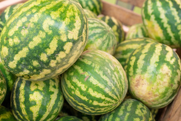 Large watermelons, in a box, in a supermarket.