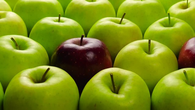 Red Apple In Green Apples. Many apples at table. Healthy diet