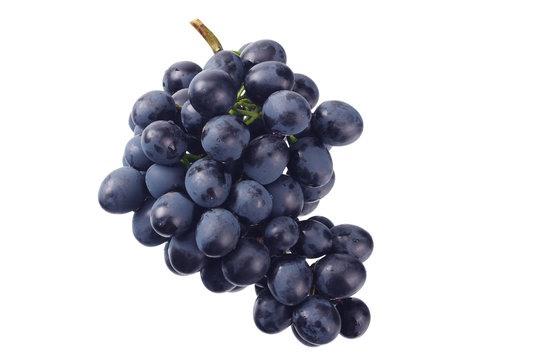 blue grape isolated on a white background. Food