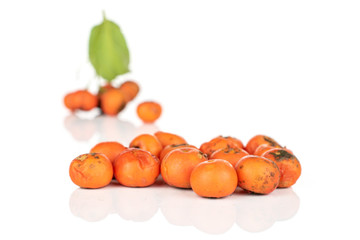 Lot of whole arranged wild orange rowanberry isolated on white background