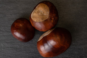 Group of three whole autumnal green chestnut flatlay on grey stone