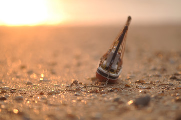 Golden wedding ring as a anchor for fish boat