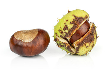 Group of two whole autumnal green chestnut isolated on white background