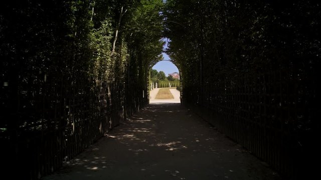 Tracking shot of coming into Versailles gardens with statues going out of alleys with bushes