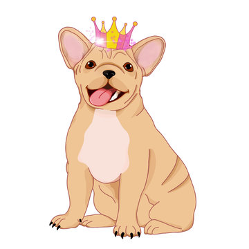 French bulldog sitting. Royalty bulldog. Illustration of a bulldog with a crown on his head. 