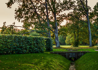 Obraz premium Landscape in the city autumn park.