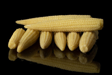 Group of eight whole baby yellow corn isolated on black glass